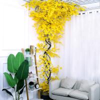 uploads/erp/collection/images/Home Garden/CongDing/XU0611547/img_b/XU0611547_img_b_1